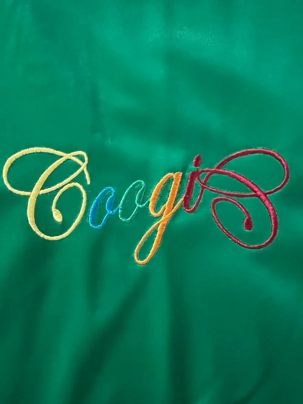 NWT Vintage Green Coogi Track Jacket w Tribal Face Graphic